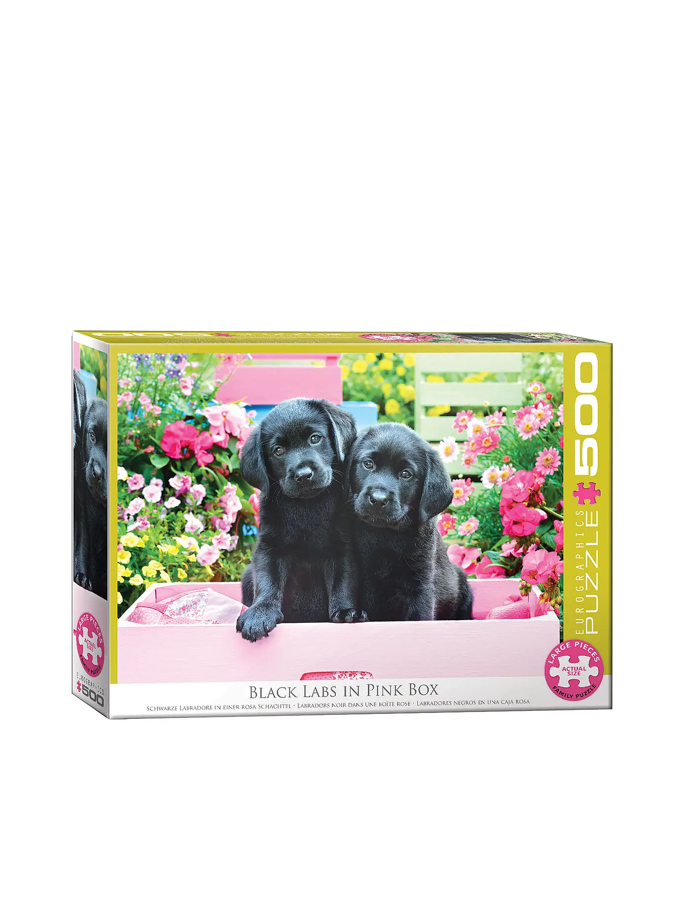 EUROGRAPHICS | Puzzle - Black Labs in Pink Box 500 Teile | 